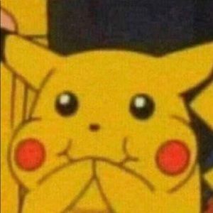 Meet your Posher, Sofia